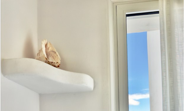 shell on a shelf